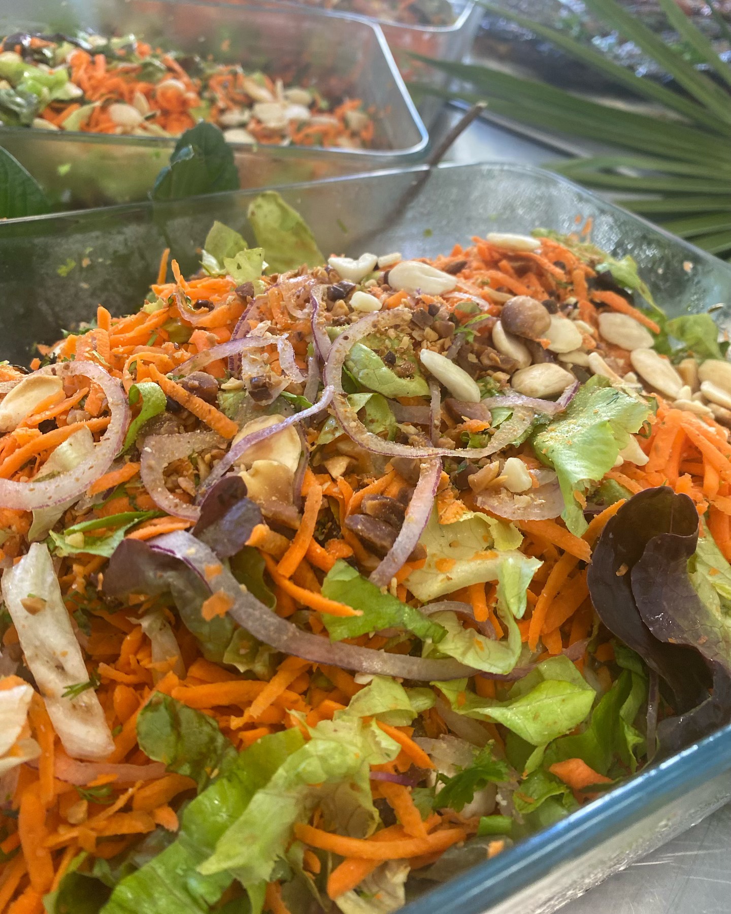 Grande salade fraîche de saison aux noix de cajou